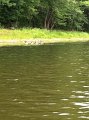 iphonejul-aug242011 081